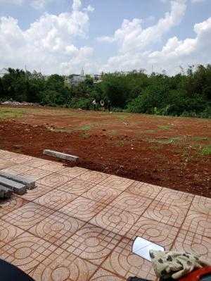 Bán đất mặt tiền đường đỗ xuân hợp
