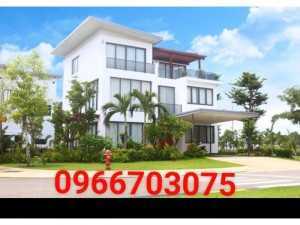 Cỏ sân vườn đẹp
