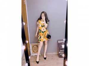 Đầm xoè bèo