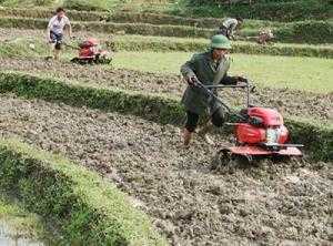 Máy làm đất đa năng Oshima XDX1-T,Máy cày mini ,máy xới đất Trung Quốc ,Máy xới đất đa năng giá rẻ.