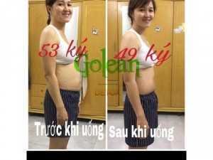Trà thảo mộc Golean