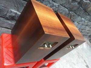 Loa Chario Syntar 100