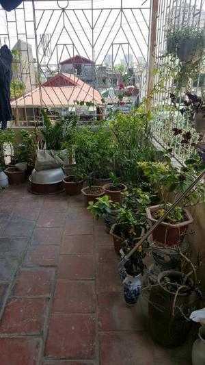 Bán nhà phố Hồng Mai, Hai Bà Trưng, CỰC ĐẸP, 5 tầng
