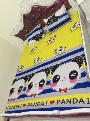 Bộ ga gối cotton poly cho giường m2,m6, m8, 2m nhiều mẫu đẹp