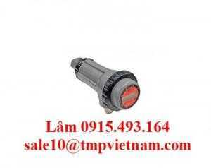 Flame Scanner  Fireye 95DSS3-1CEX  - Fireye Vietnam