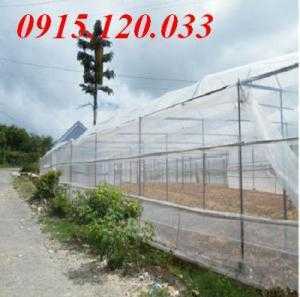 Lưới chắn côn trùng loại 200 lỗ