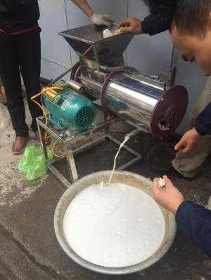 Máy xay vắt nghệ