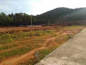 Giá Đất Leo Thang - Nhà Đầu Tư Hoang Mang