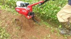 Máy xới đất TL401HD động cơ Honda GX120 công suất 4HP giá rẻ nhất chỉ có tại Điện Máy Gia Huy