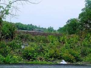 Cần tiền trả nợ ngân hàng nên gia đình cần bán gấp lô đất 11000m2 thổ cư 300m2