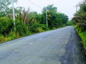 Cần tiền trả nợ ngân hàng nên gia đình cần bán gấp lô đất 11000m2 thổ cư 300m2