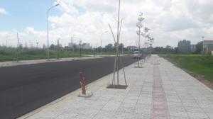 Thua Trận World Cup Nên Cần Bán Rẻ Đất Mặt Tiền Đường Nguyễn Văn Tạo, Xã Long Thới, Nhà Bè
