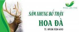 Sâm Nhung Bổ Thận Hoa Đà Giúp cố tinh, bổ gân cốt