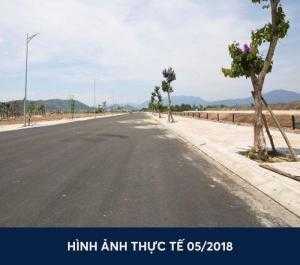 Đường Cây Thông Ngoài giáp Nguyễn Trung Trực,sinh lời cực nhanh, liên hệ để mua đất.