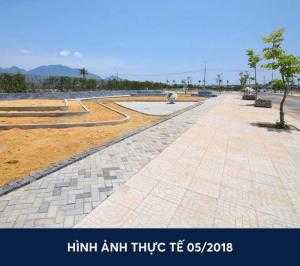 Sự trở lại của Ocean land, đất nền mt đường Cây Thông Ngoài.