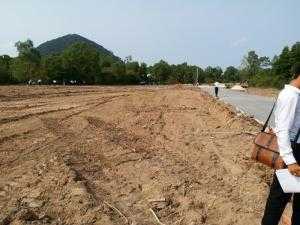Bán đất mặt tiền Cây Thông Ngoài giá rẻ hơn thị trường