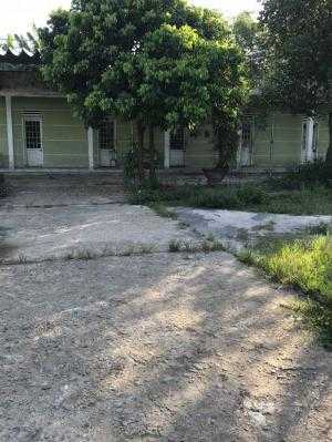 Nhà định cư sang mỹ , nay bán lại mảnh đất trang trại chăn nuôi gà