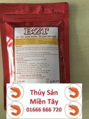 Cắt Tảo – BZT