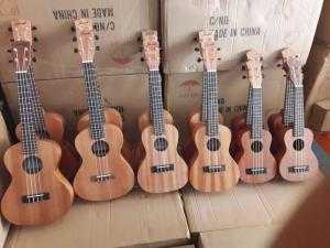 Ukulele Rẻ Biên Hòa