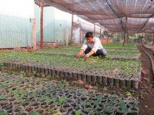 Lưới che nắng Việt Nam đa công dụng