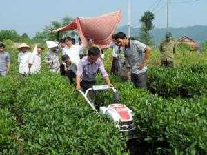 Địa chỉ cung cấp máy làm đất đa năng trâu vàng giá rẻ nhất thị trường hàng chính hãng bảo hành 12 tháng