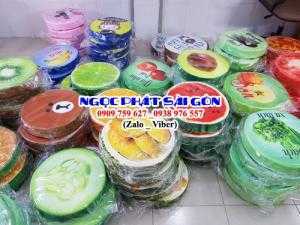Nệm ngồi trái cây, đệm ngồi in chữ, nệm lót ngồi hoạt hình các loại. Nệm ngồi 3D