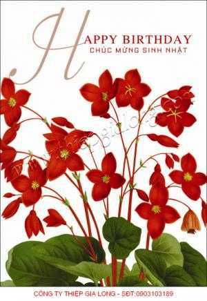 Trọn Bộ Thiệp Mời Sinh Nhật Cao Cấp