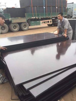 Cốp pha phủ phim - Cốp pha phủ keo đỏ thanh lý
