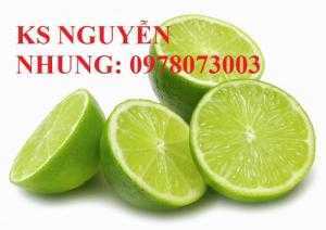 Cung cấp cây chanh các loại, đảm bảo chuẩn giống, năng suất cao, giá cả hợp lý
