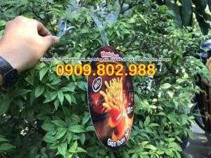 wobbler quảng cáo là gì, wobbler lò xo kẹp sắt, wobbler để bàn