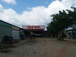 Tưng bừng mở bán 19 lô đất đưa đón khách hàng bằng ô tô xem đất vào chủ nhật này