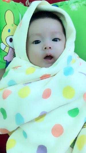Sỉ lẻ lô gối đinh lăng anh việt tháng 06 giá tốt