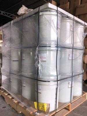 Yucca 50% 75%