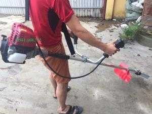 Máy cắt cỏ cầm tay