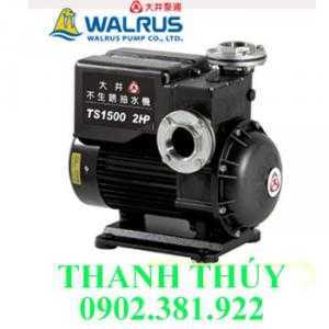 Máy bơm dân dụng Walrus đẩy cao TS-1500, 2 HP-220V/380V