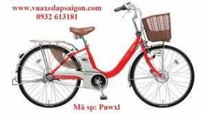 Xe đạp trợ lực tiết kiệm điện:Panasonic
