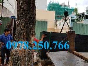 ván ép phủ phim quận 12, cốp pha phủ phim quận 12