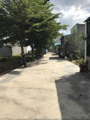 Bán đất Bình Hòa, Vĩnh Cửu, gần chùa Phổ Quang 120m2