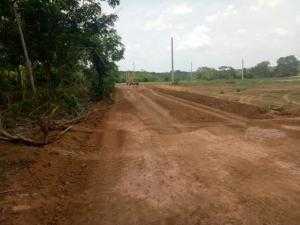 Bán Đất Ấp Bưng Trang Tiến Thành Đồng Xoài Bình Phước