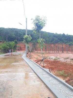 chính chủ cần bán hai nền có thổ cư sẵn 36m, diện tích 6x18
