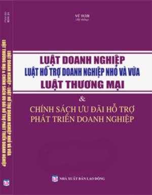 Luật doanh nghiệp , luật hổ trợ doanh nghiệp nhỏ và vừa , luật thương mại , chính sách ưu đãi hổ trợ phát triển doanh nghiệp