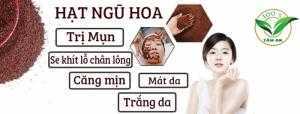 Hạt Ngũ Hoa Trị Mụn Trắng Da
