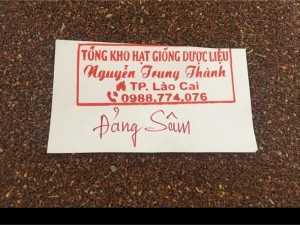 Hạt giống Đương Quy, hạt giống Đan Sâm, hạt giống Đảng Sâm, hạt giống Cát Cánh...