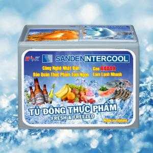 Tủ đông thực phẩm Thái Lan Sanden Intercool 300 lít