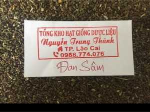 Hạt giống Đan Sâm năm 2018.