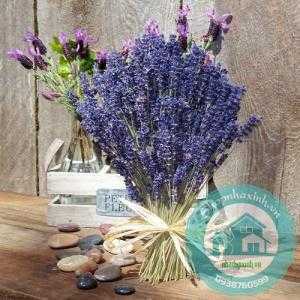 Hoa Khô Lavender Nguyên Bó 120 Cành NX3121
