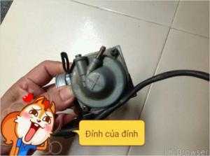 Bình Win 100 châu Âu