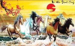 Trần xuyên sáng chất lượng tại Bắc Ninh, Bắc Giang