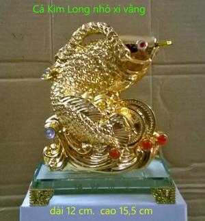 Cá Kim Long nhỏ ( xi vàng)