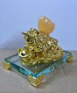 Cóc xi cõng thổi vàng